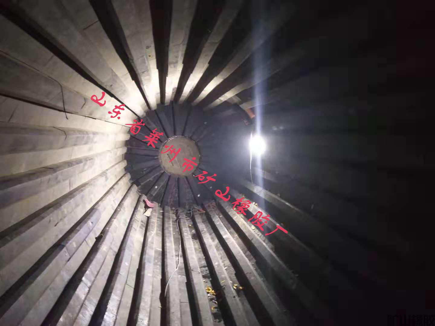 藝術在民間——橡膠襯板也能拍攝出花的感覺(圖2) 藝術在民間——橡膠襯板也能拍攝出花的感覺(圖2)